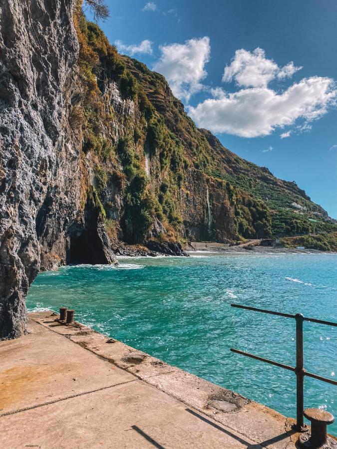 The Palms - Sun & Sea Madeira Apartment *
